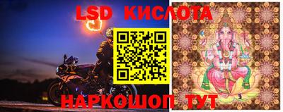 индика Заводоуковск
