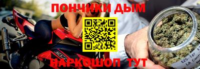 индика Заводоуковск