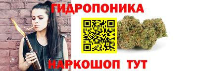 индика Заводоуковск