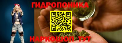 индика Заводоуковск
