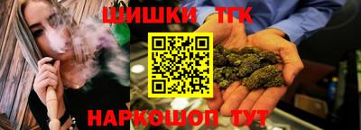 индика Заводоуковск