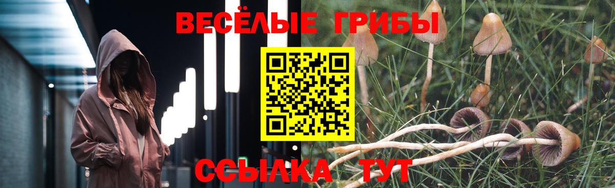 Джанкой  Псилоцибиновые грибы мухоморы  Вход с VPN  Галлюциногенные грибы мухоморы 