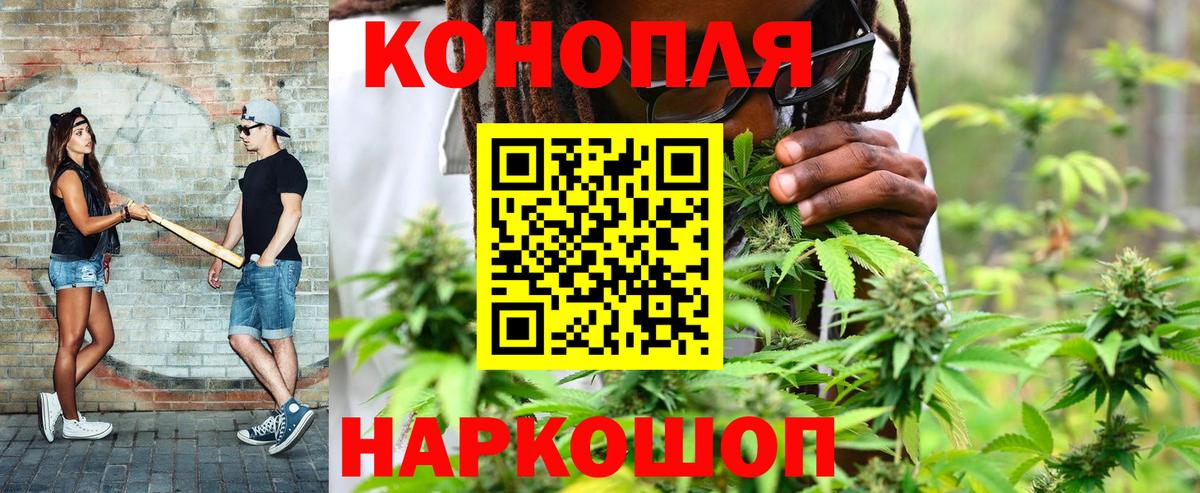 Бошки марихуана планчик  Бошки марихуана сатива  Джанкой  Конопля план  Вход с VPN 